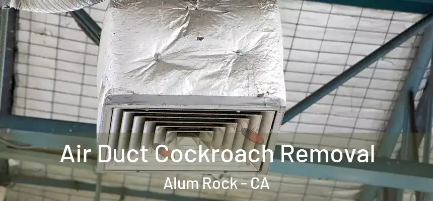  Air Duct Cockroach Removal Alum Rock - CA