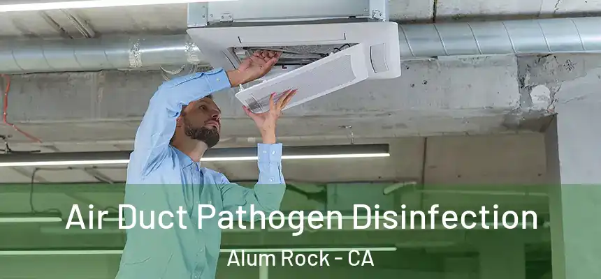  Air Duct Pathogen Disinfection Alum Rock - CA