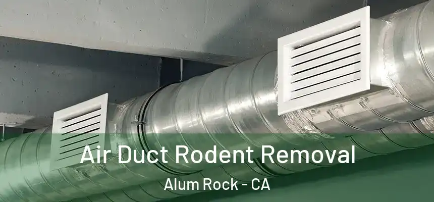  Air Duct Rodent Removal Alum Rock - CA
