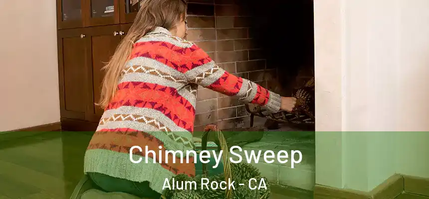  Chimney Sweep Alum Rock - CA