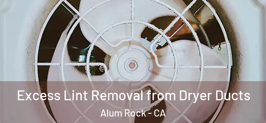  Excess Lint Removal from Dryer Ducts Alum Rock - CA