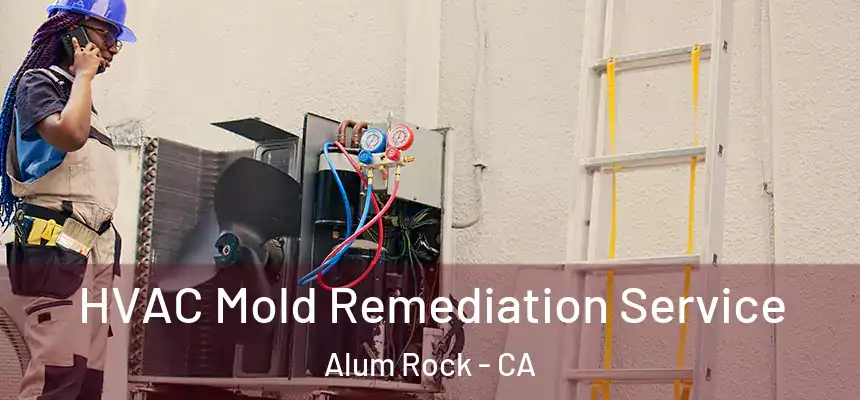  HVAC Mold Remediation Service Alum Rock - CA