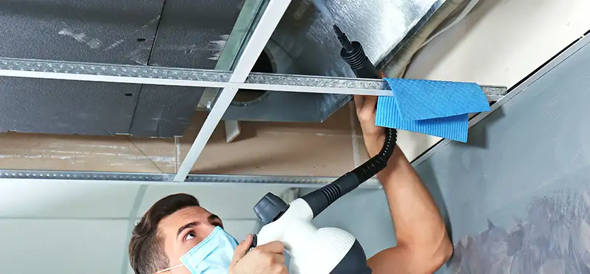 Our Air Duct Rodent Removal Services in Alum Rock, CA