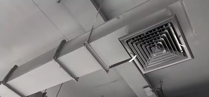 Our Rodent Droppings In Vents Services in Alum Rock, CA