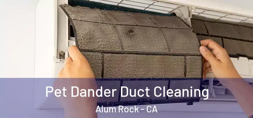  Pet Dander Duct Cleaning Alum Rock - CA