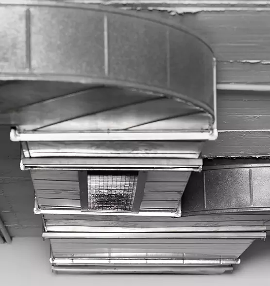 Professional Air Duct Pest Removal in Alum Rock, CA